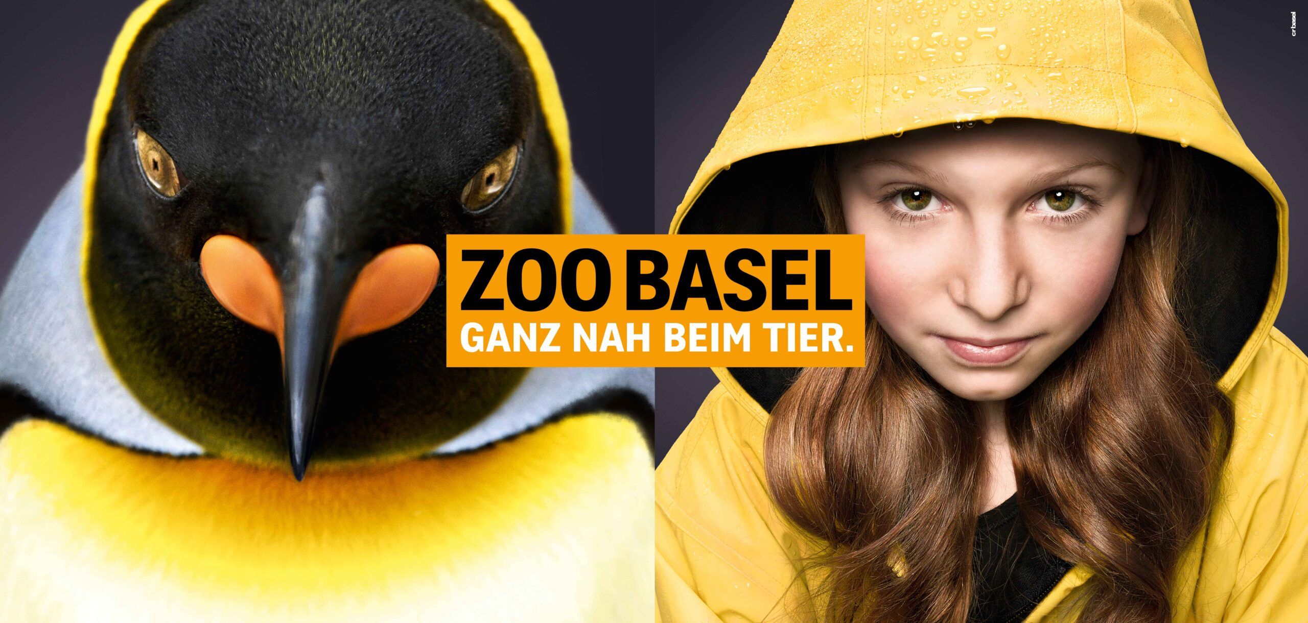 cr Basel Werbeagentur Zoo Basel Plakat